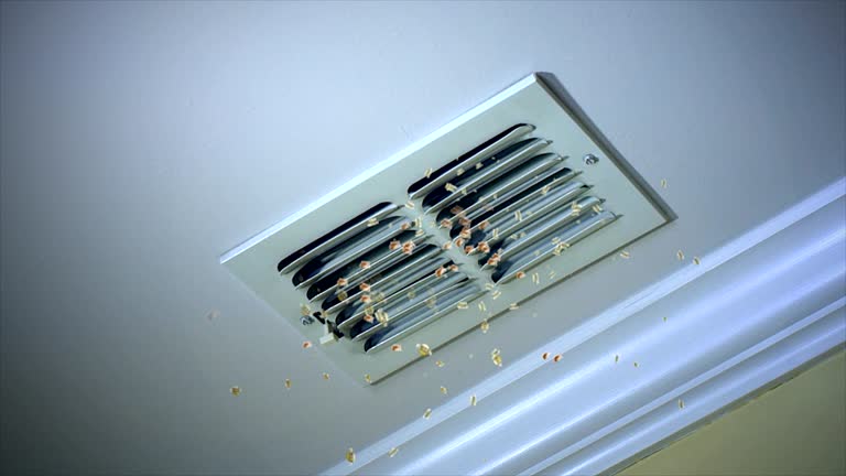 Best Air Duct Cleaning Near Me  in Deerwood, TX