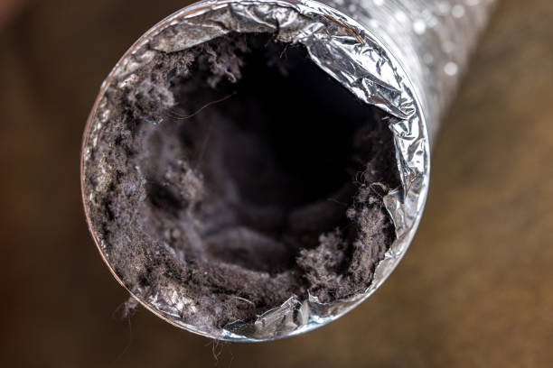 Best Professional Duct Cleaning Services  in Deerwood, TX